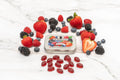 Dr. Doolittle's Pastilles Wild Berries Sugar Free 60g Tin #