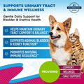 Cat & Dog Natural Urinary Support with Cranberry Bladder & Kidney Care for Pets – Gentle Daily Wellness Drops for Dogs & Cats