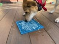 Jigsaw Design Emat Enrichment Licking Mat - Blue